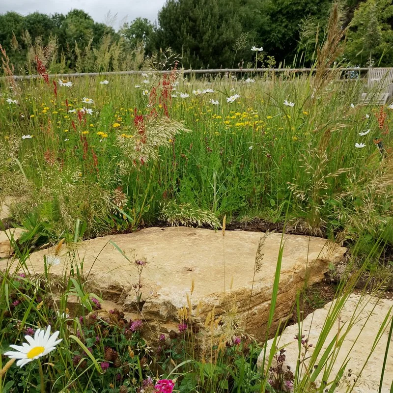 A very large rock step in the grass