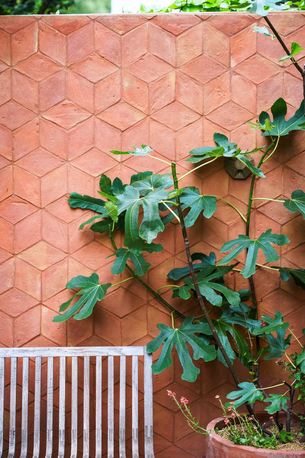 Orange wall with a plant and bench