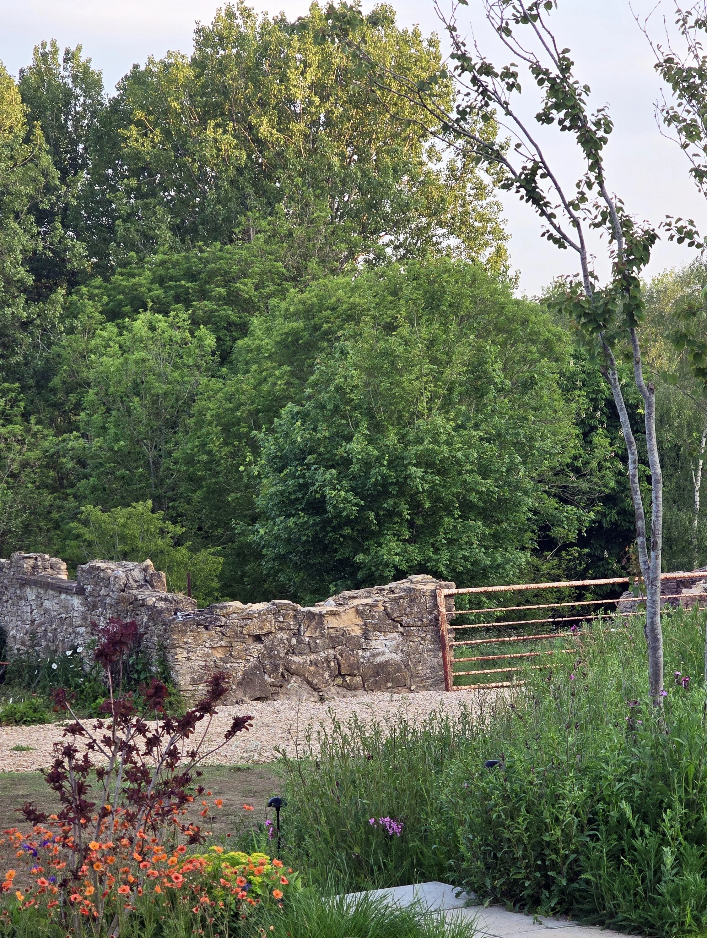 rural view of ruin and old gate with naturalistic planting