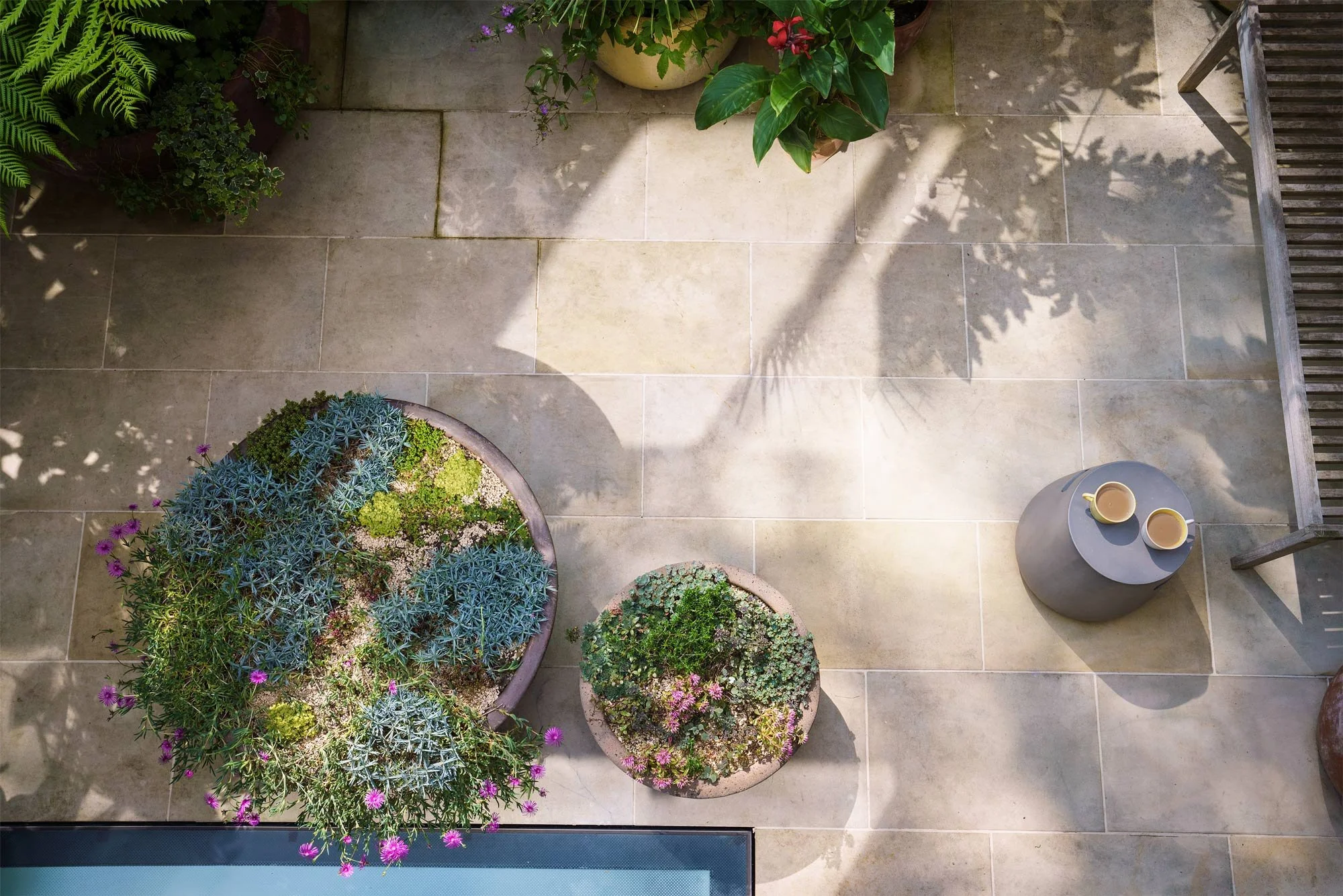 Ariel view of a small urban garden space