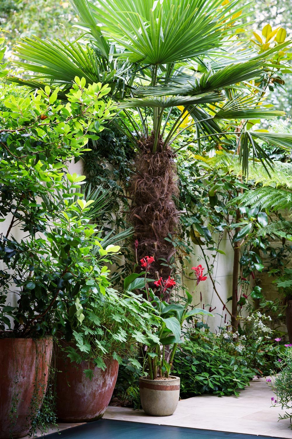 Potted plants in a garden