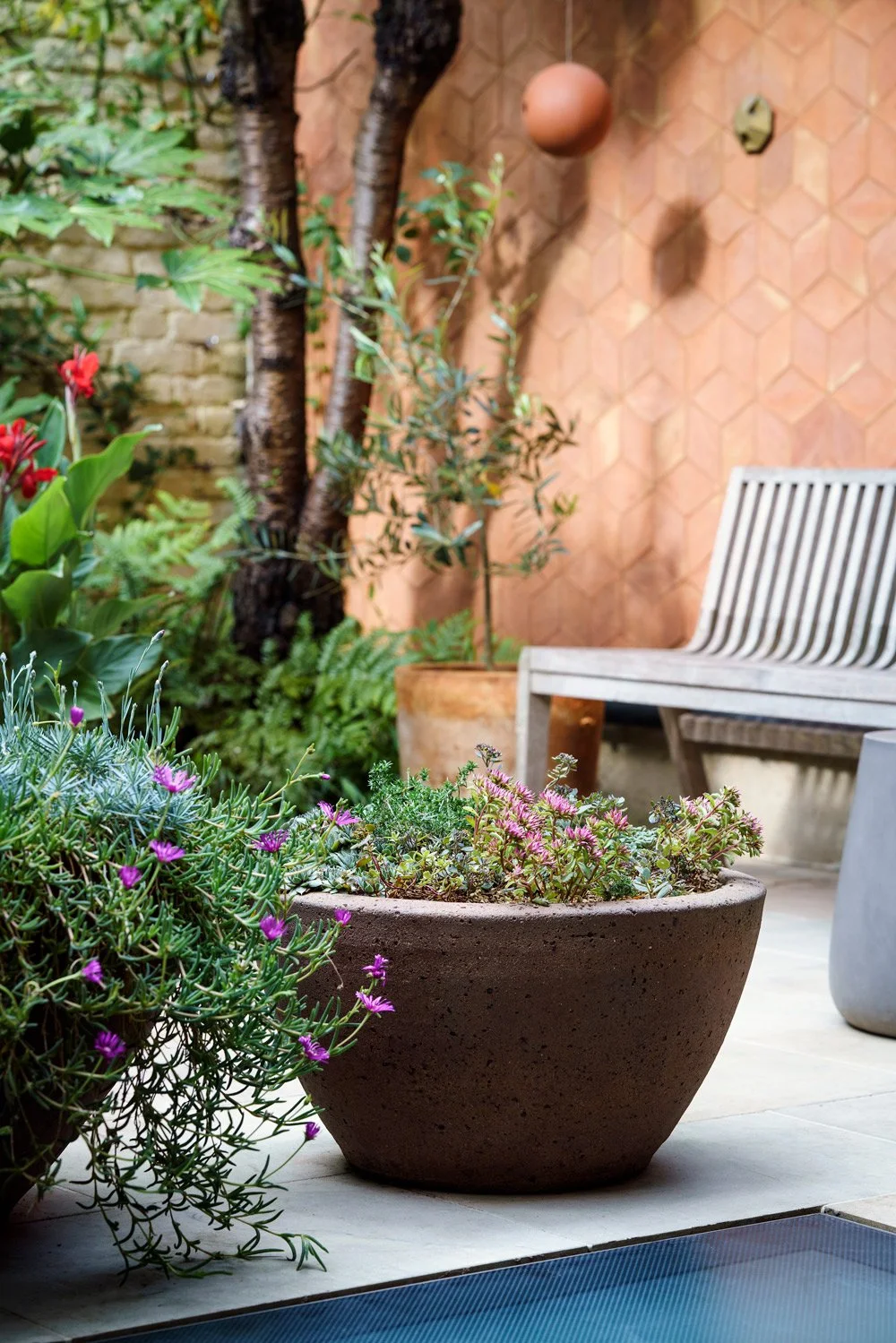 Plant pots and bench in a small garden