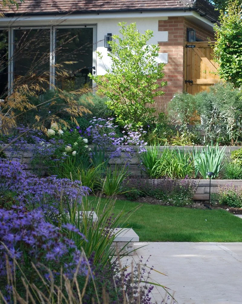 Outside garden with steps and house