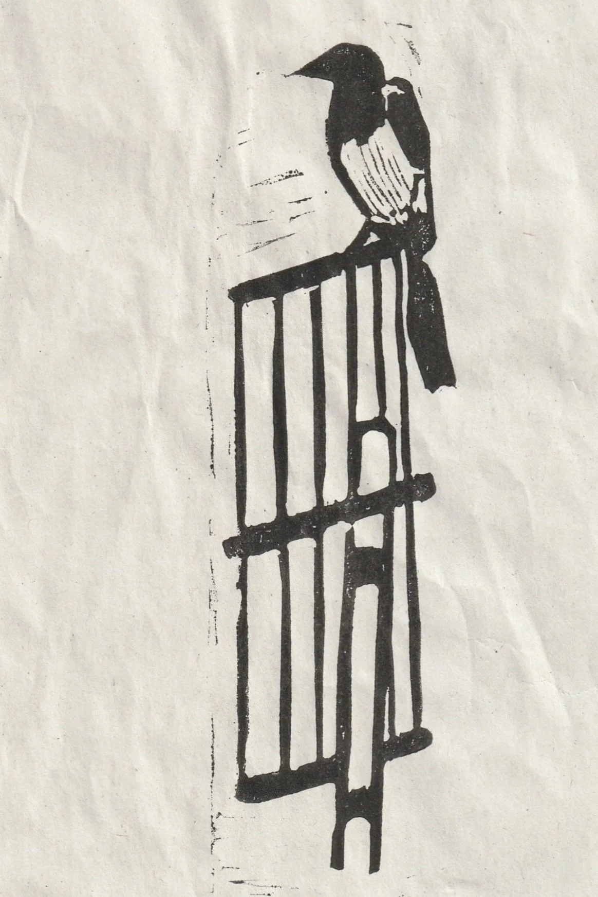 Magpie