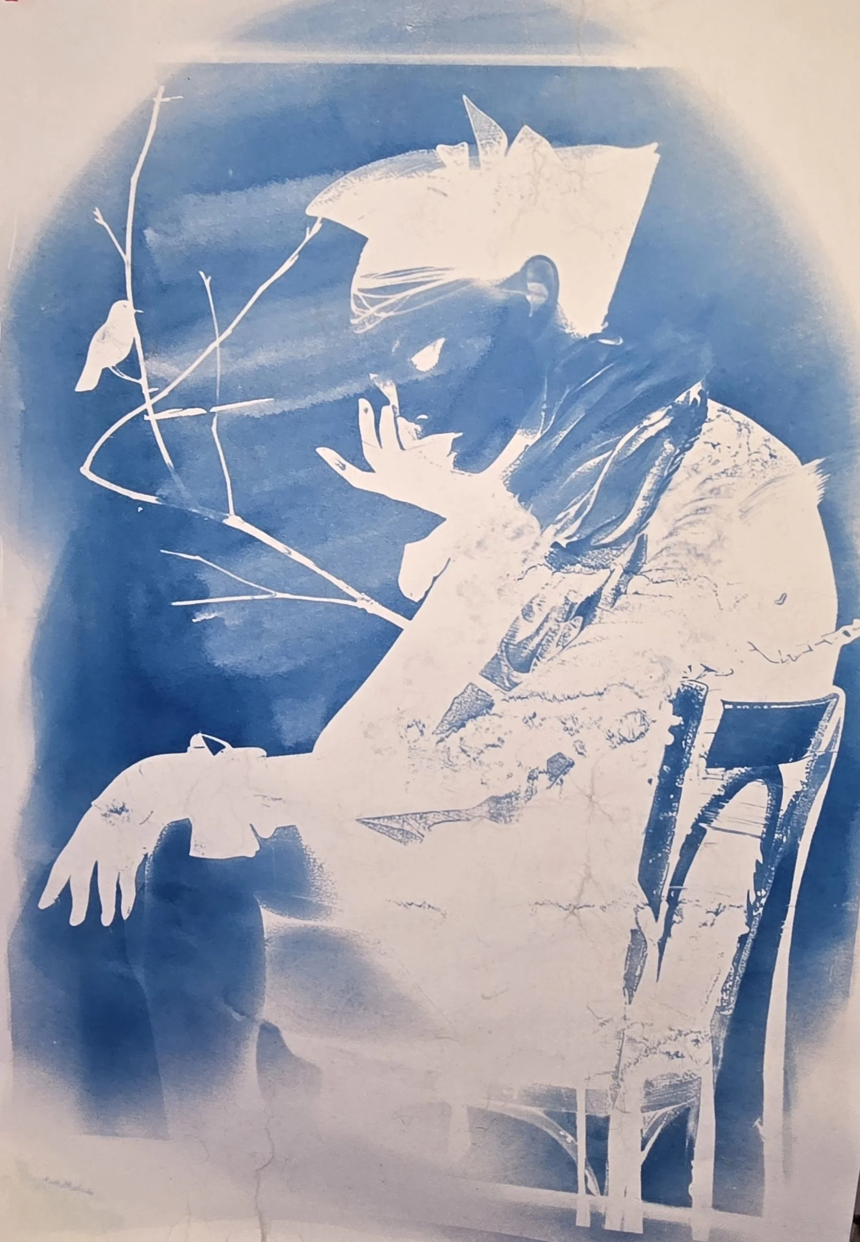 First try at Cyanoprint