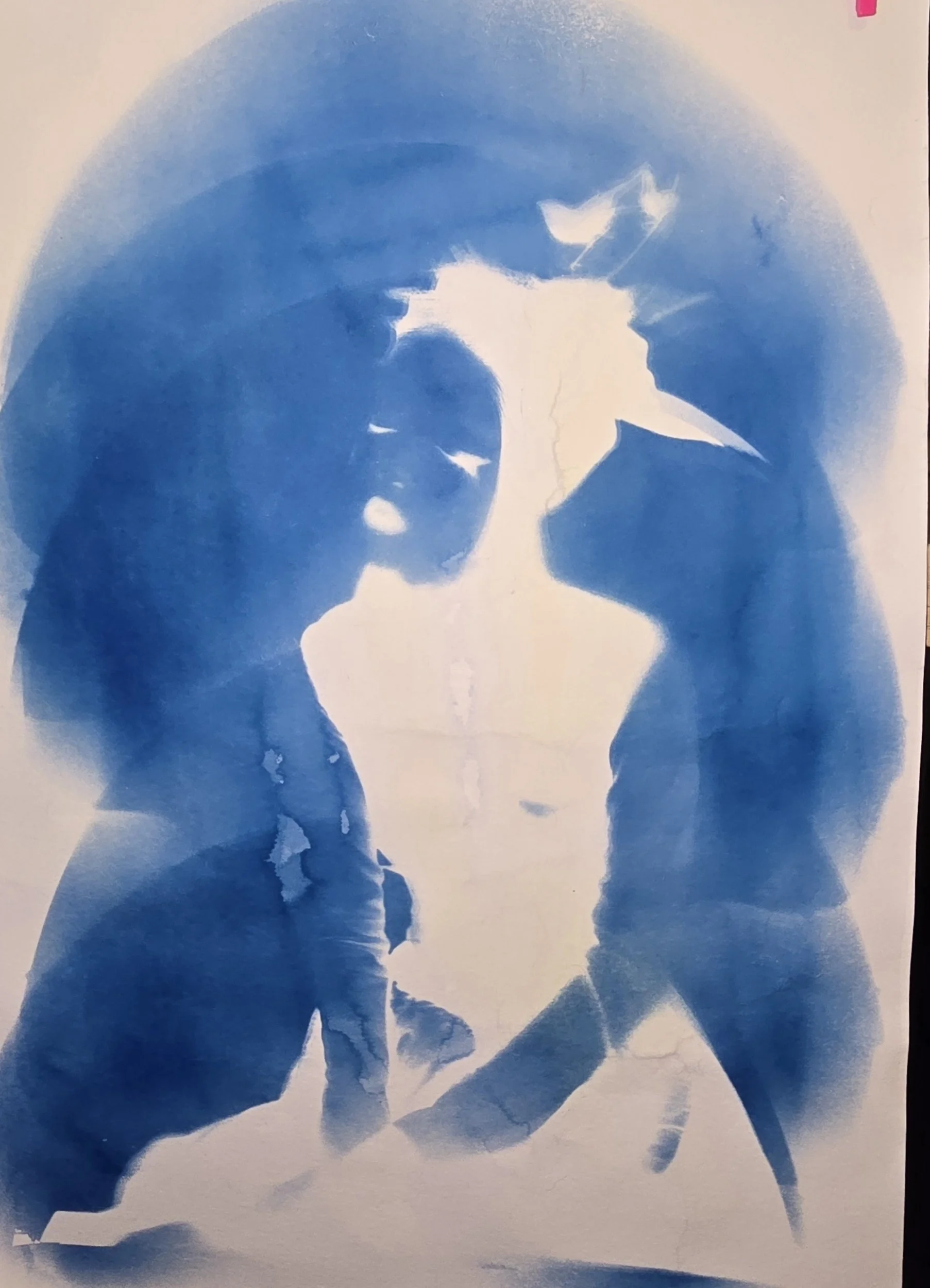 First try at Cyanoprint