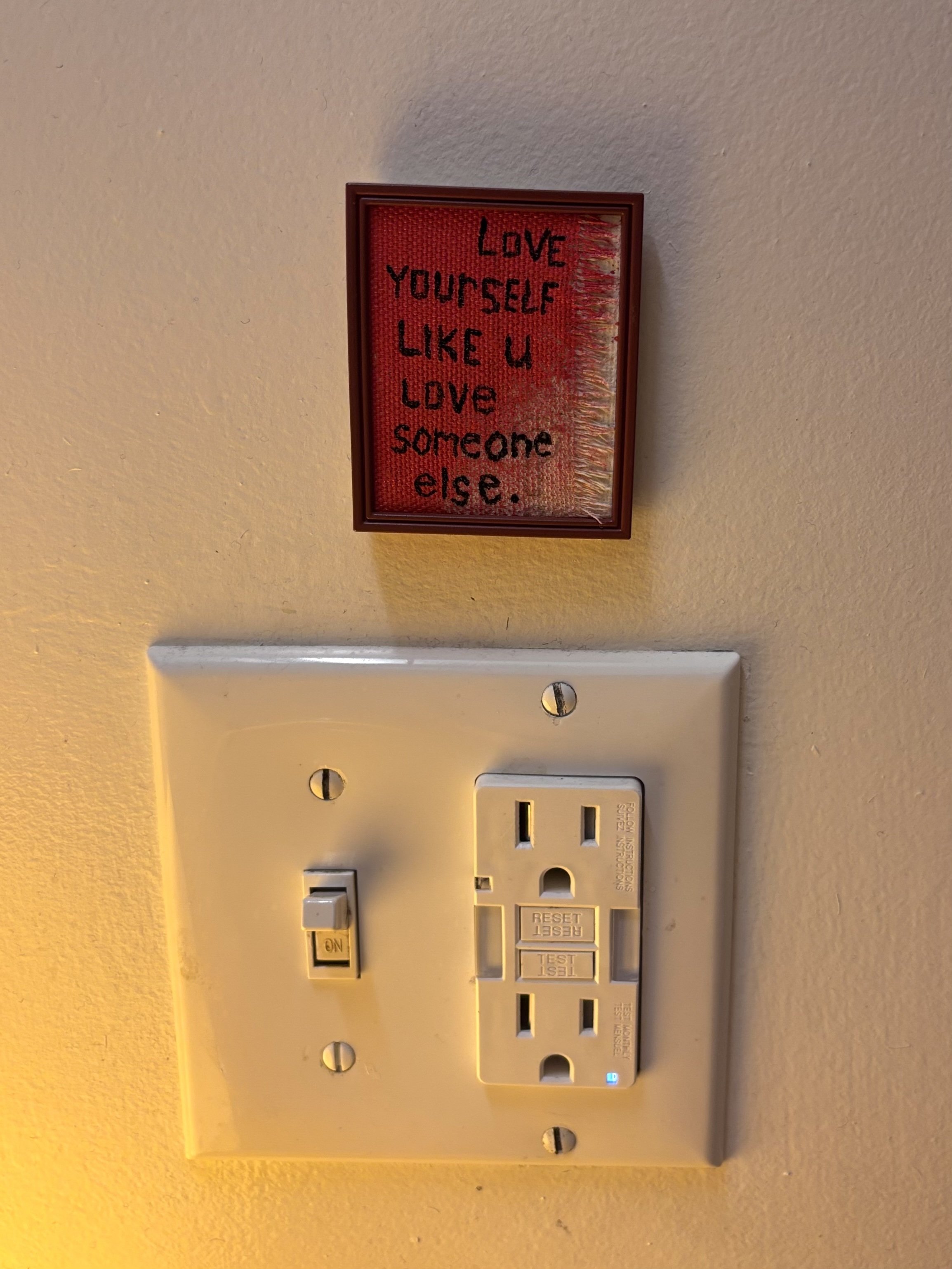 Painting 3 plug - Police Checks.jpg