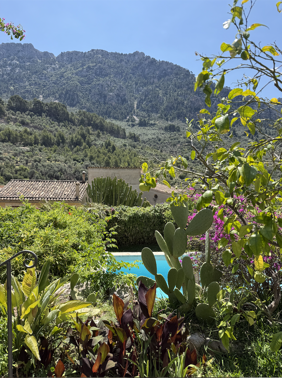 Screenshot 2025-12-07 at 6.57.28 PM.png