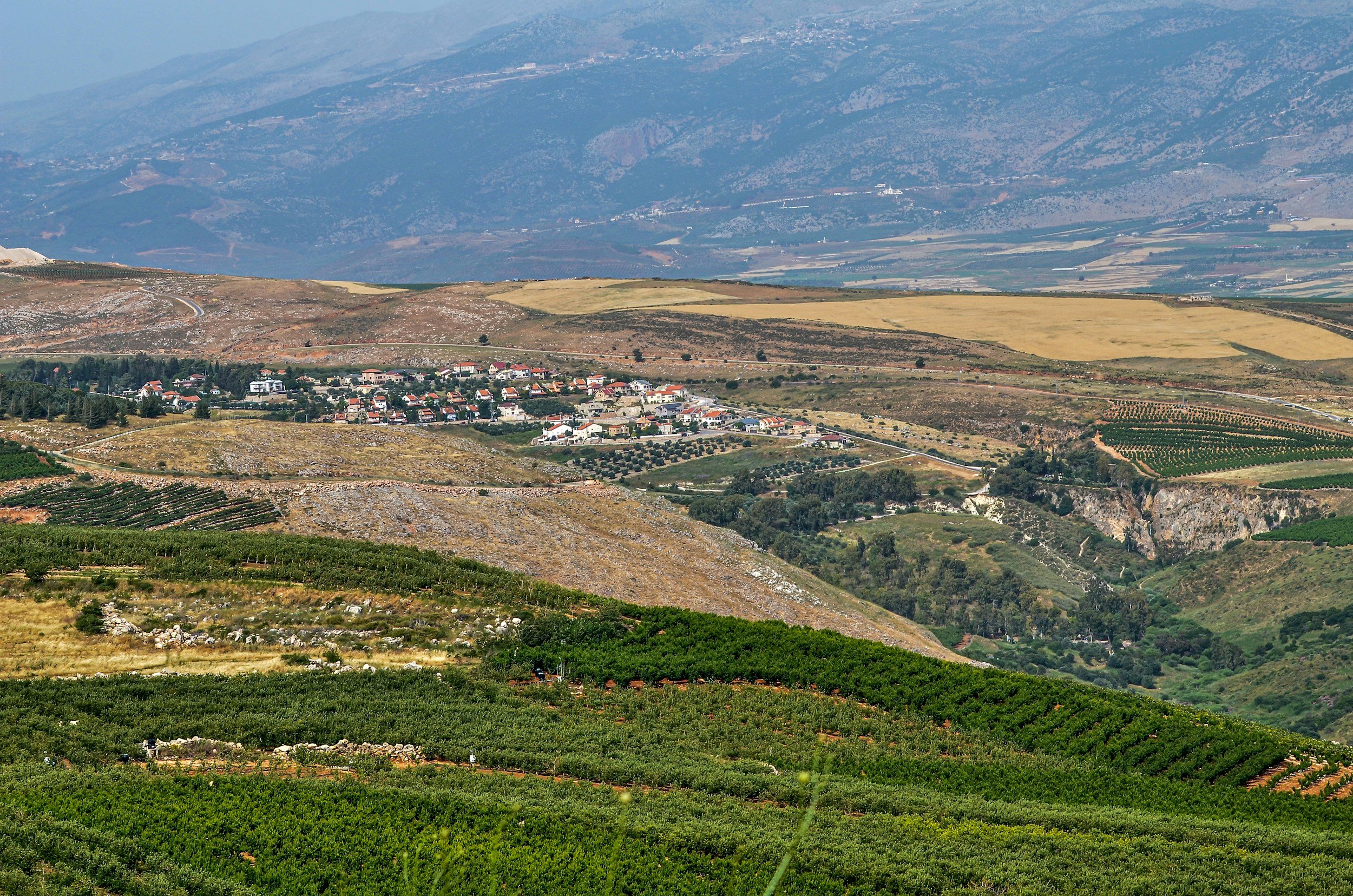 The Legal Basis for EU Measures Restricting Trade with Israeli Settlements: A Constitutional Analysis
