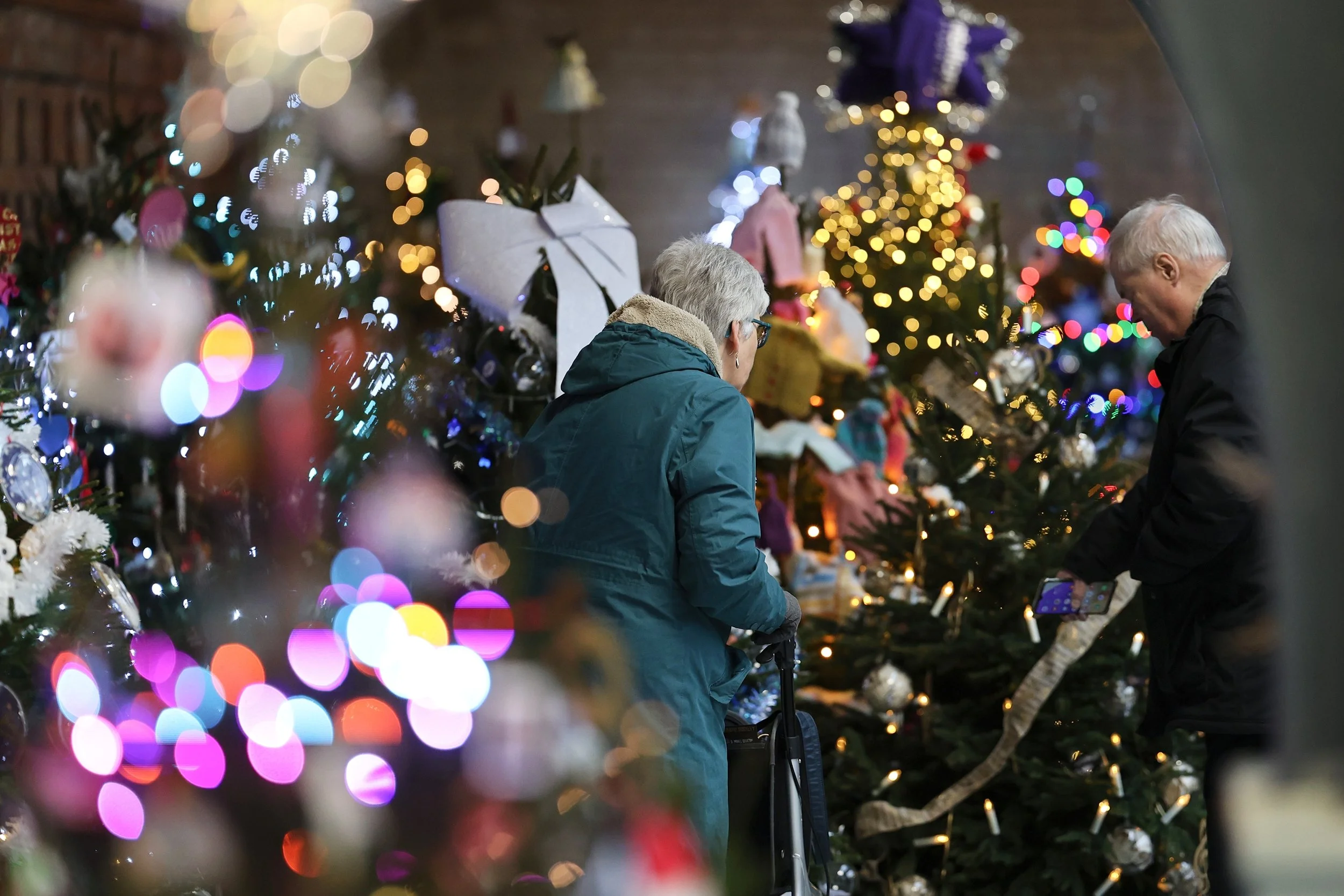 Christmas Tree Festival