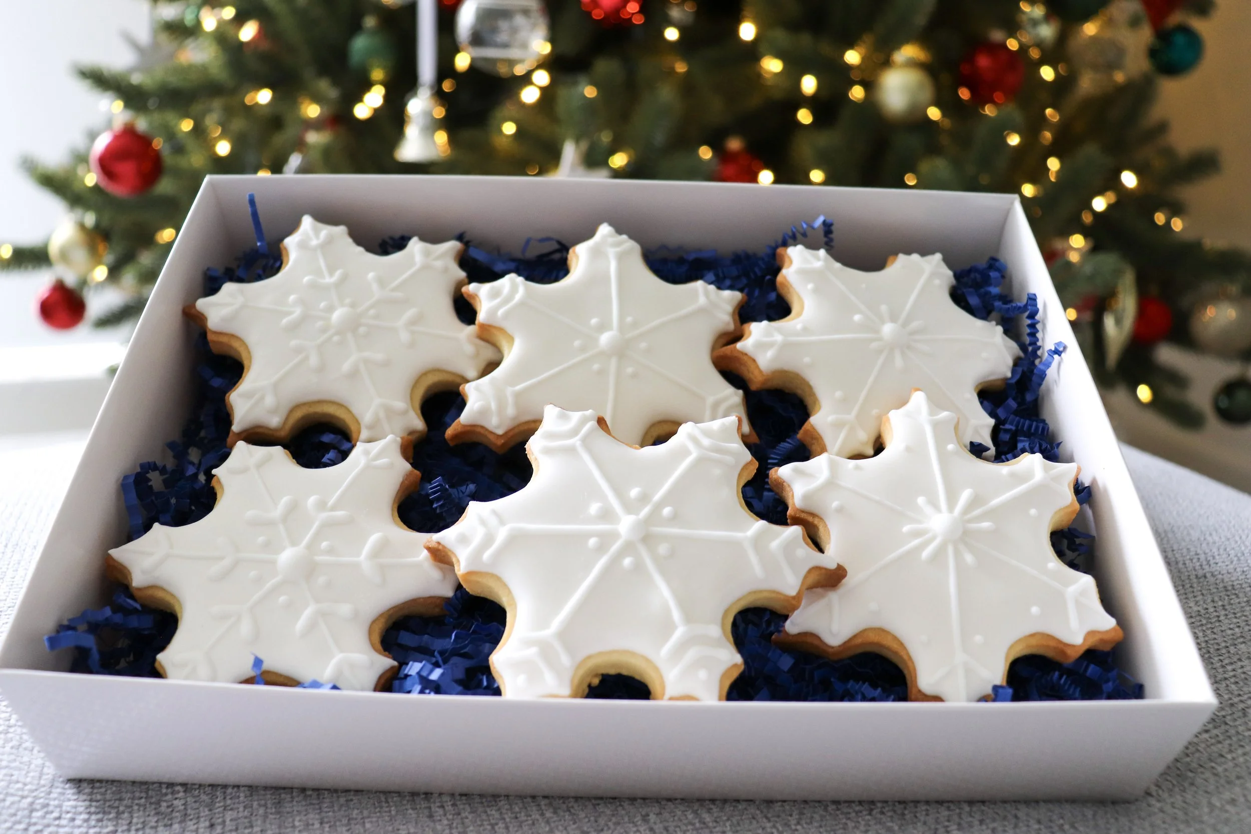 Snowflakes Set