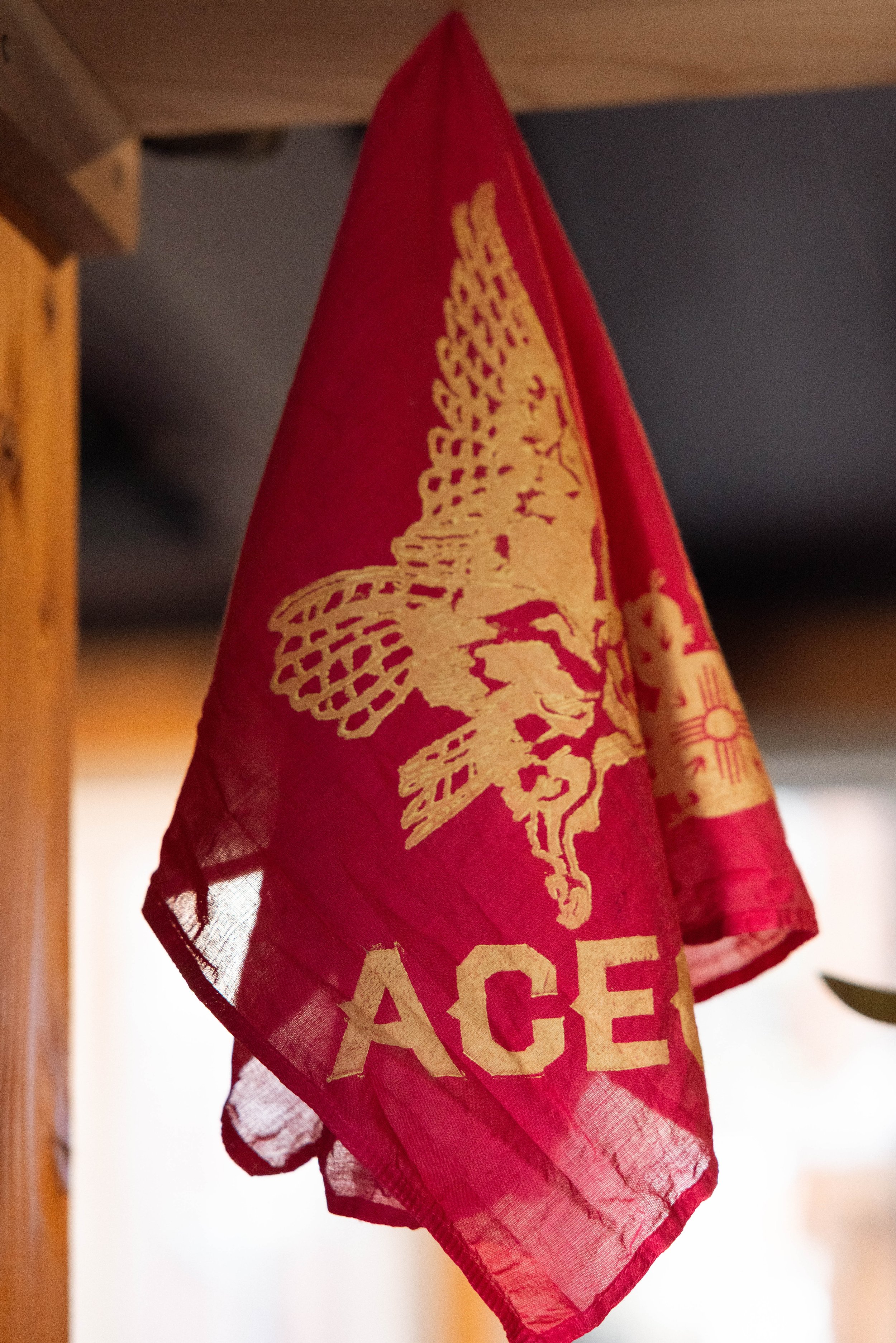 ACEQ Bandana