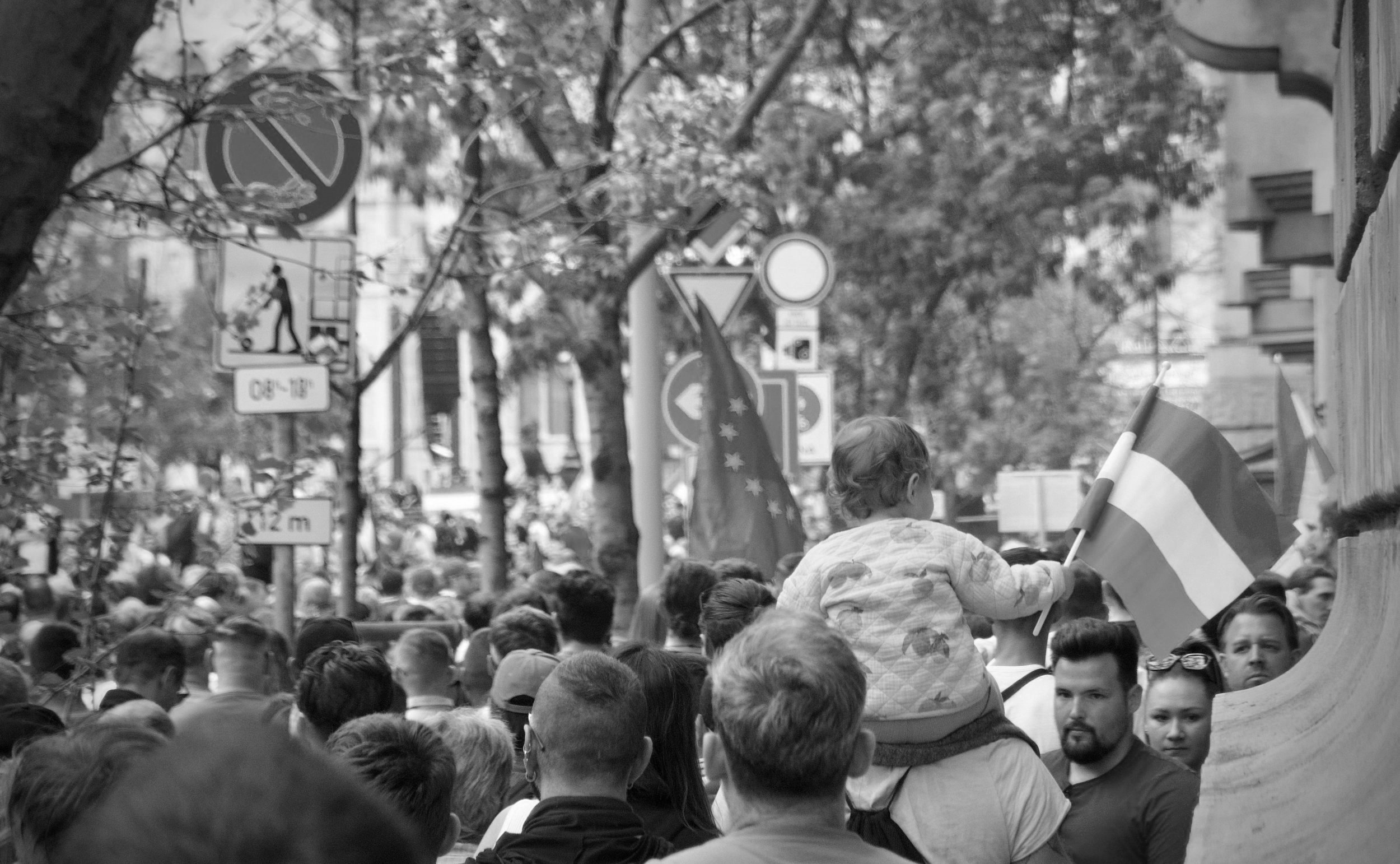 Rebuilding Hungary: Constitution