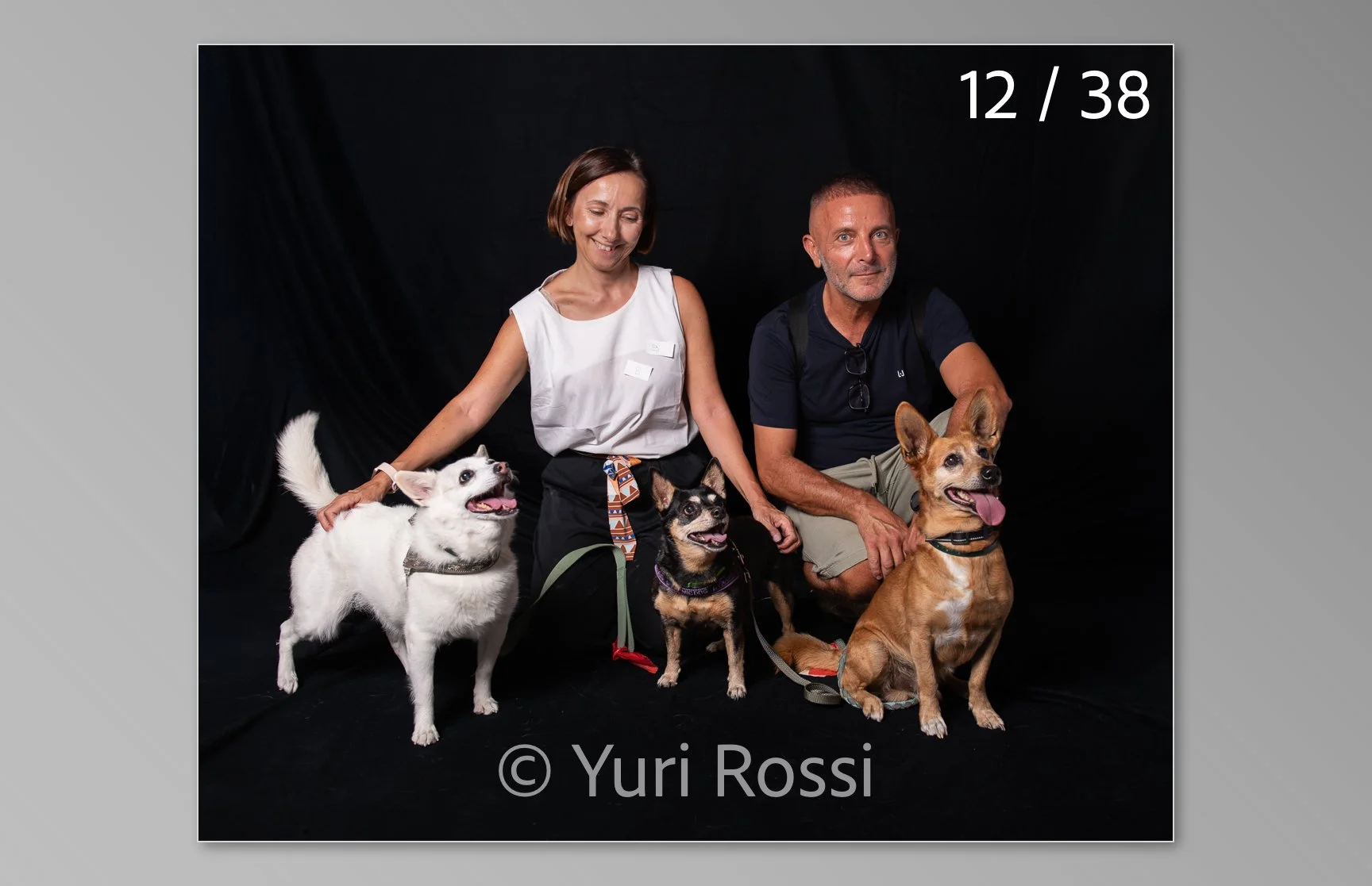esportazione cani-12.jpg