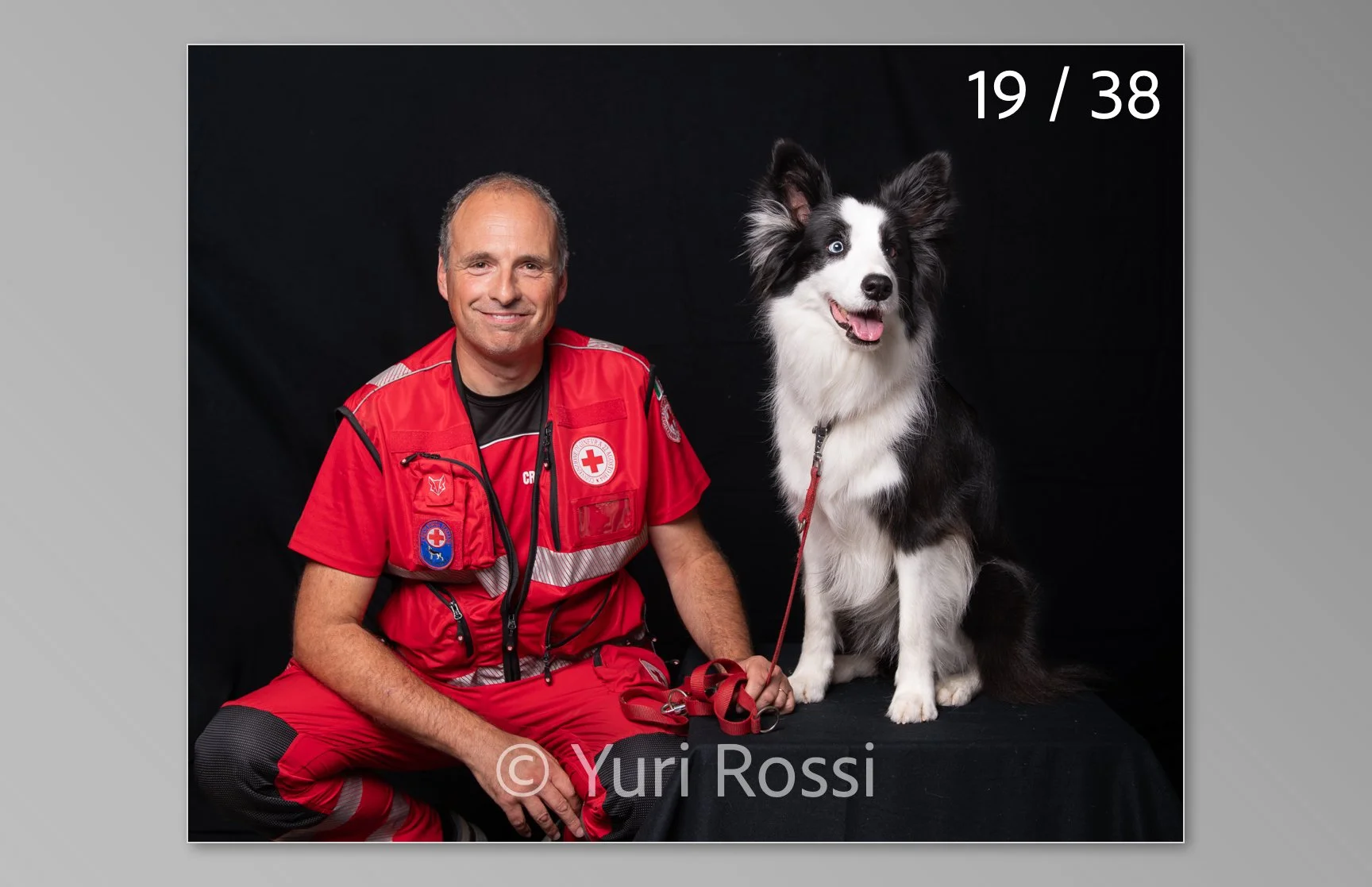 esportazione cani-19.jpg