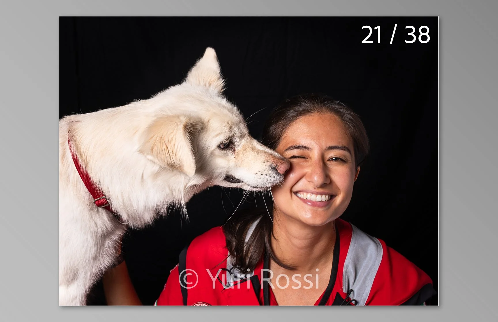 esportazione cani-21.jpg
