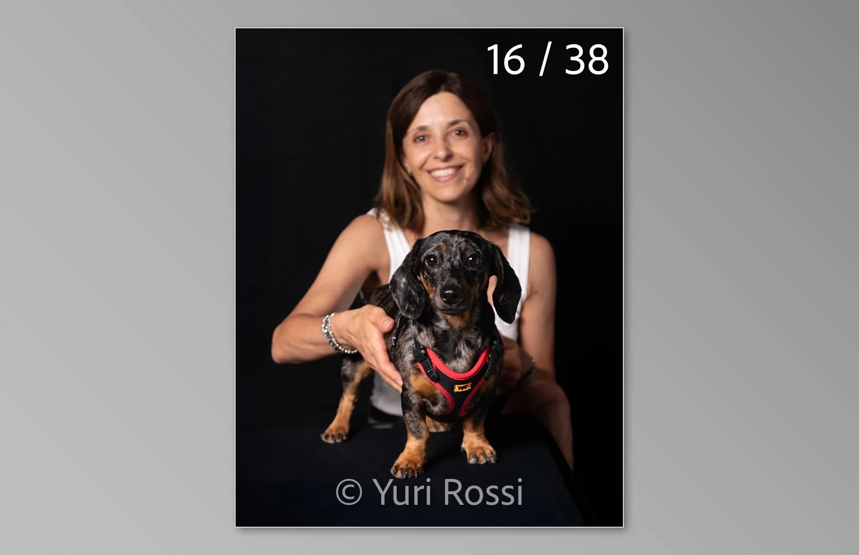 esportazione cani-16.jpg