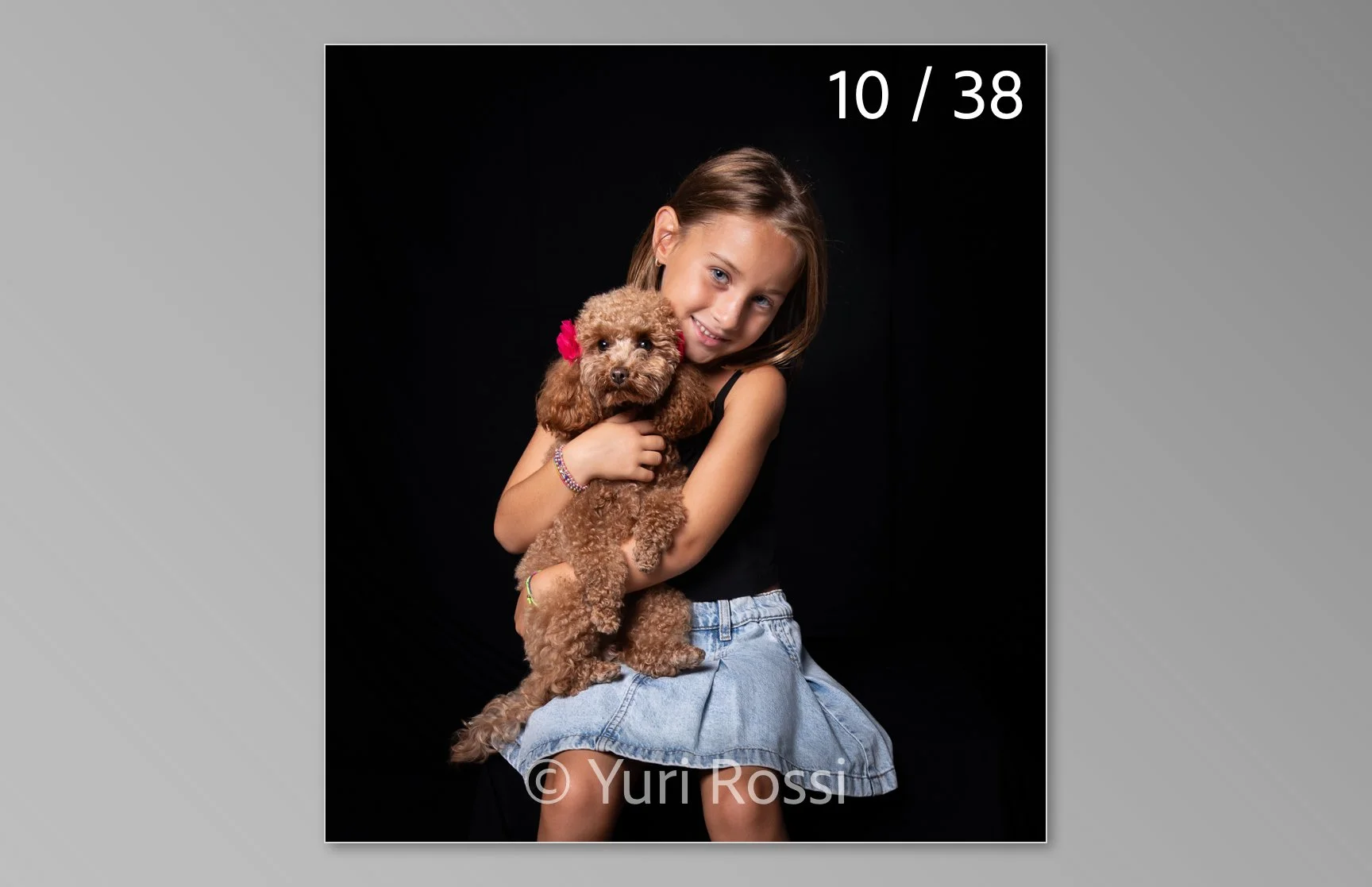 esportazione cani-10.jpg