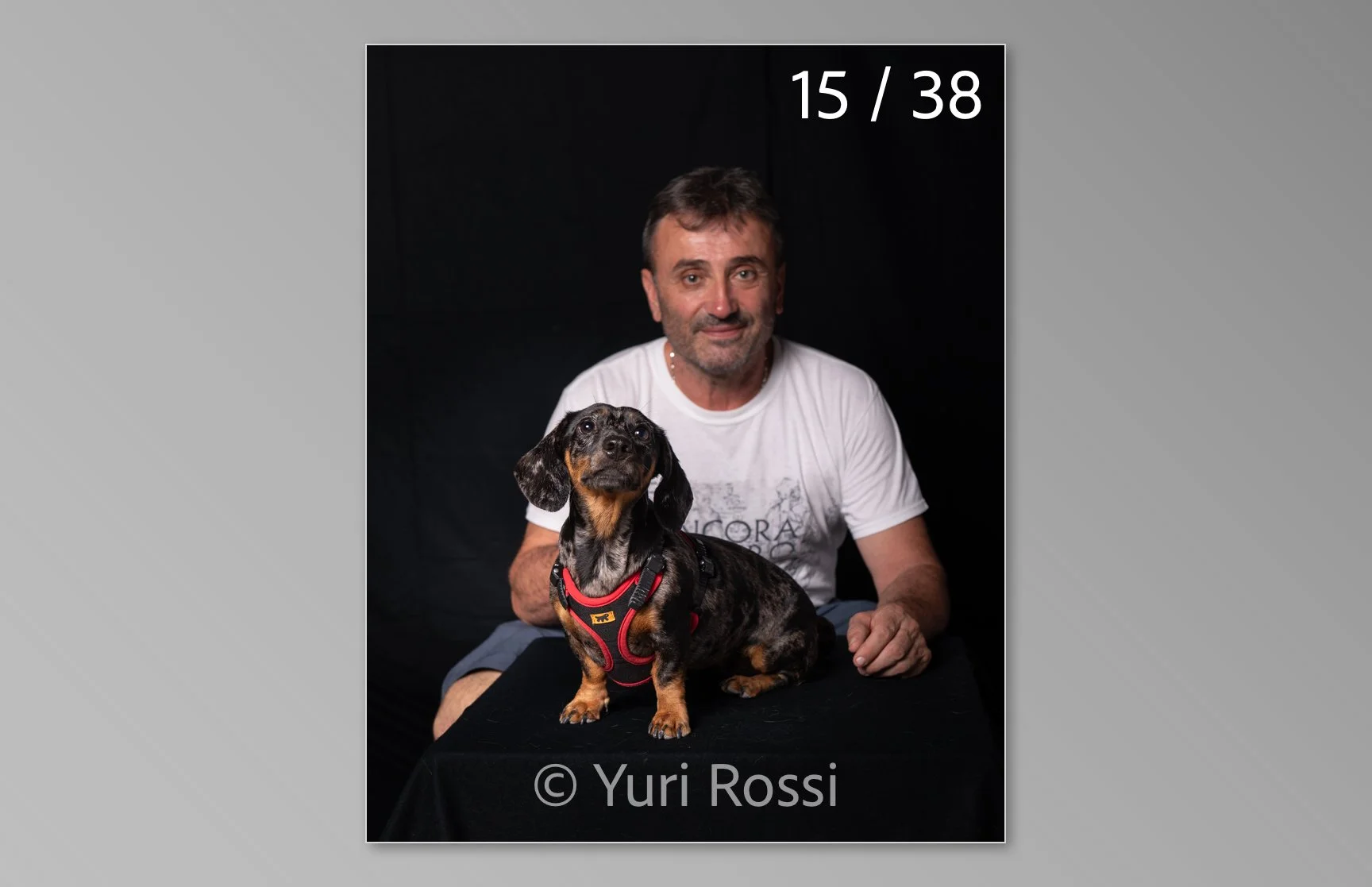 esportazione cani-15.jpg