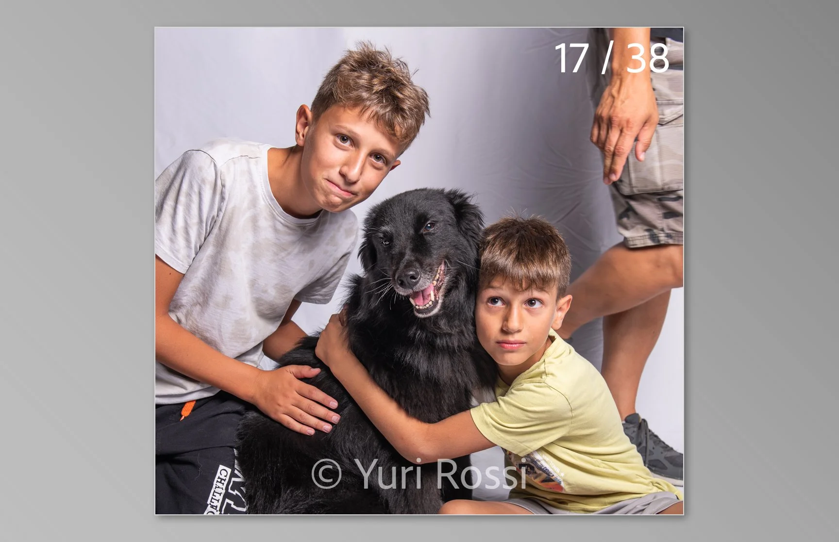 esportazione cani-17.jpg