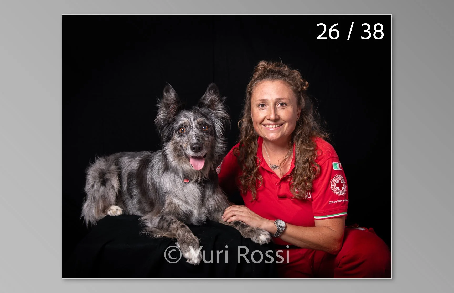esportazione cani-26.jpg