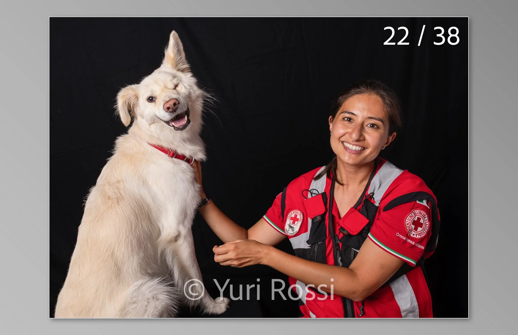 esportazione cani-22.jpg