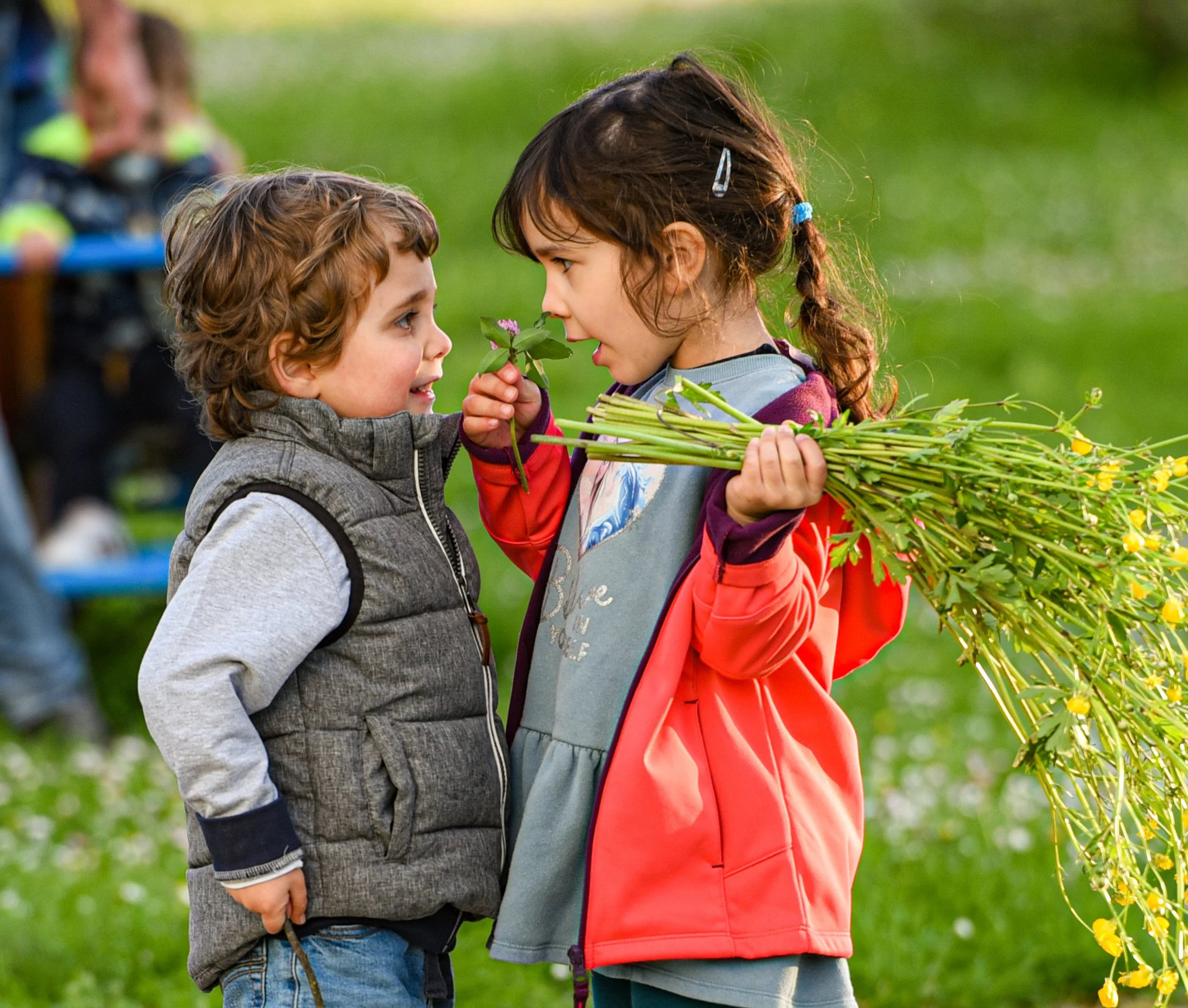 20240324_D750_6864 copia.jpg