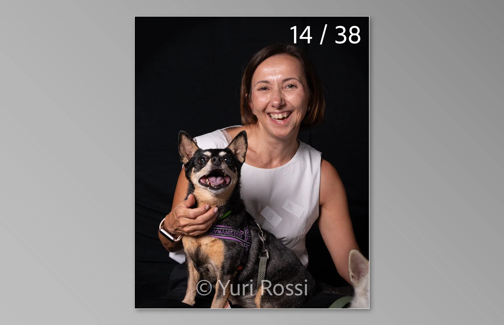 esportazione cani-14.jpg