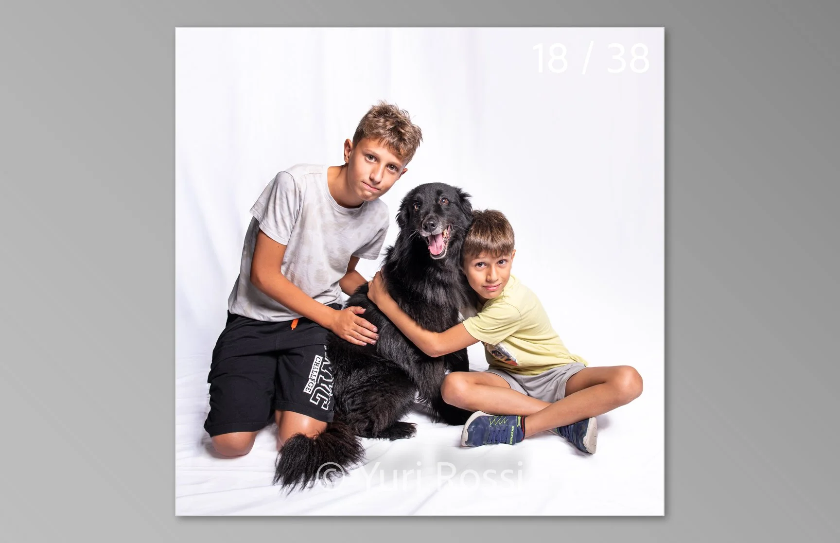 esportazione cani-18.jpg