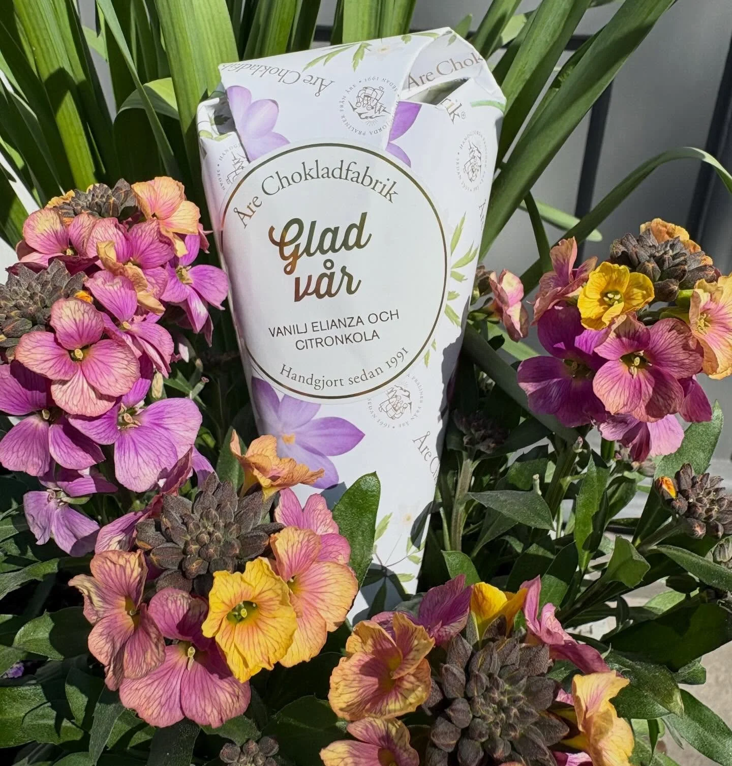 Goda chokladpraliner att njuta av i det sk&ouml;na v&aring;rv&auml;dret ☀️ 😎. V&auml;lkomna in imorgon och p&aring; s&ouml;ndag fr&aring;n kl 12. Sj&auml;lvklart har vi nybakat valn&ouml;tsbr&ouml;d imorgon, l&ouml;rdag 🥰 #&ouml;ppetenstundibland