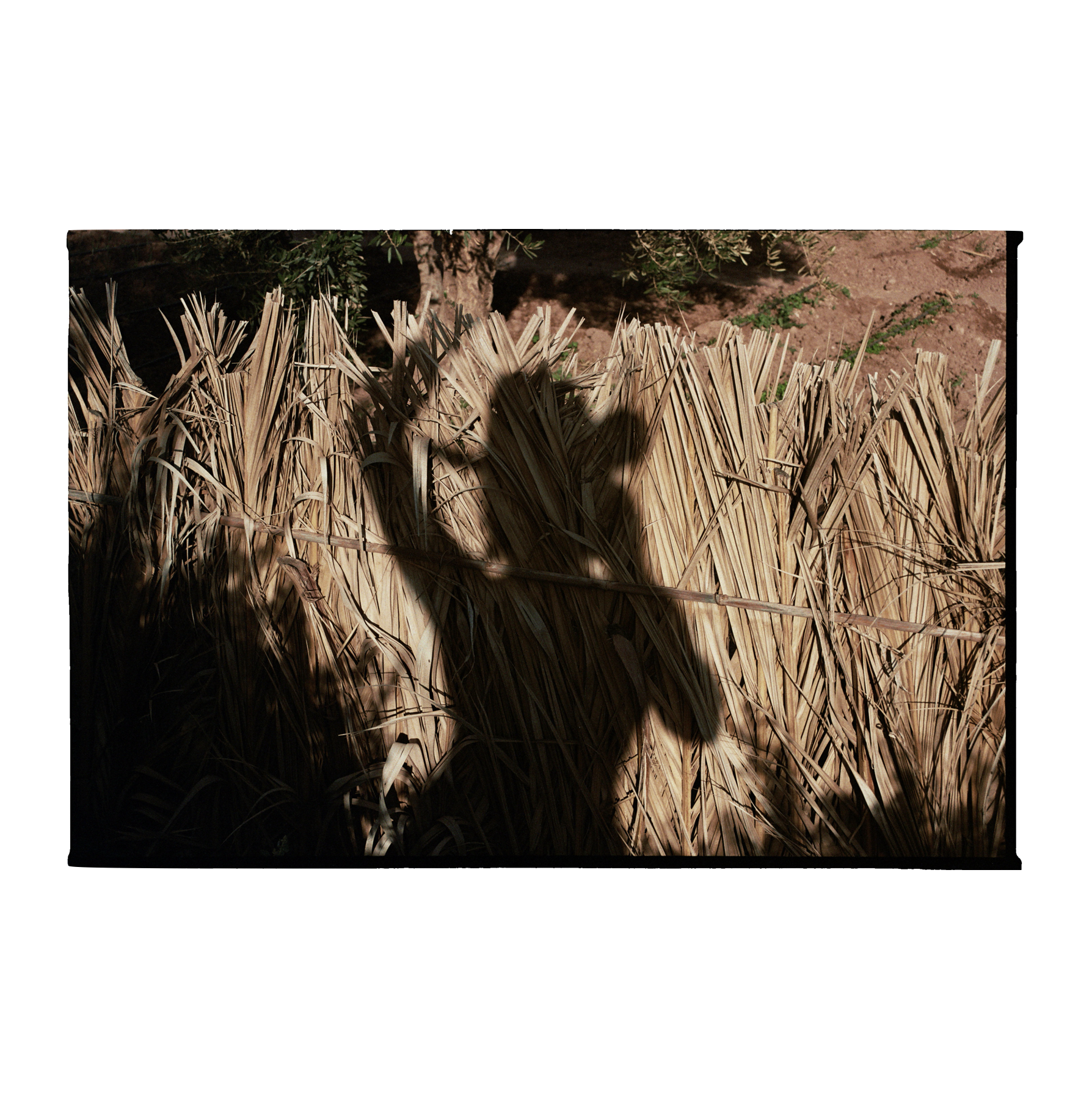 Lost Hat - No Frame .png