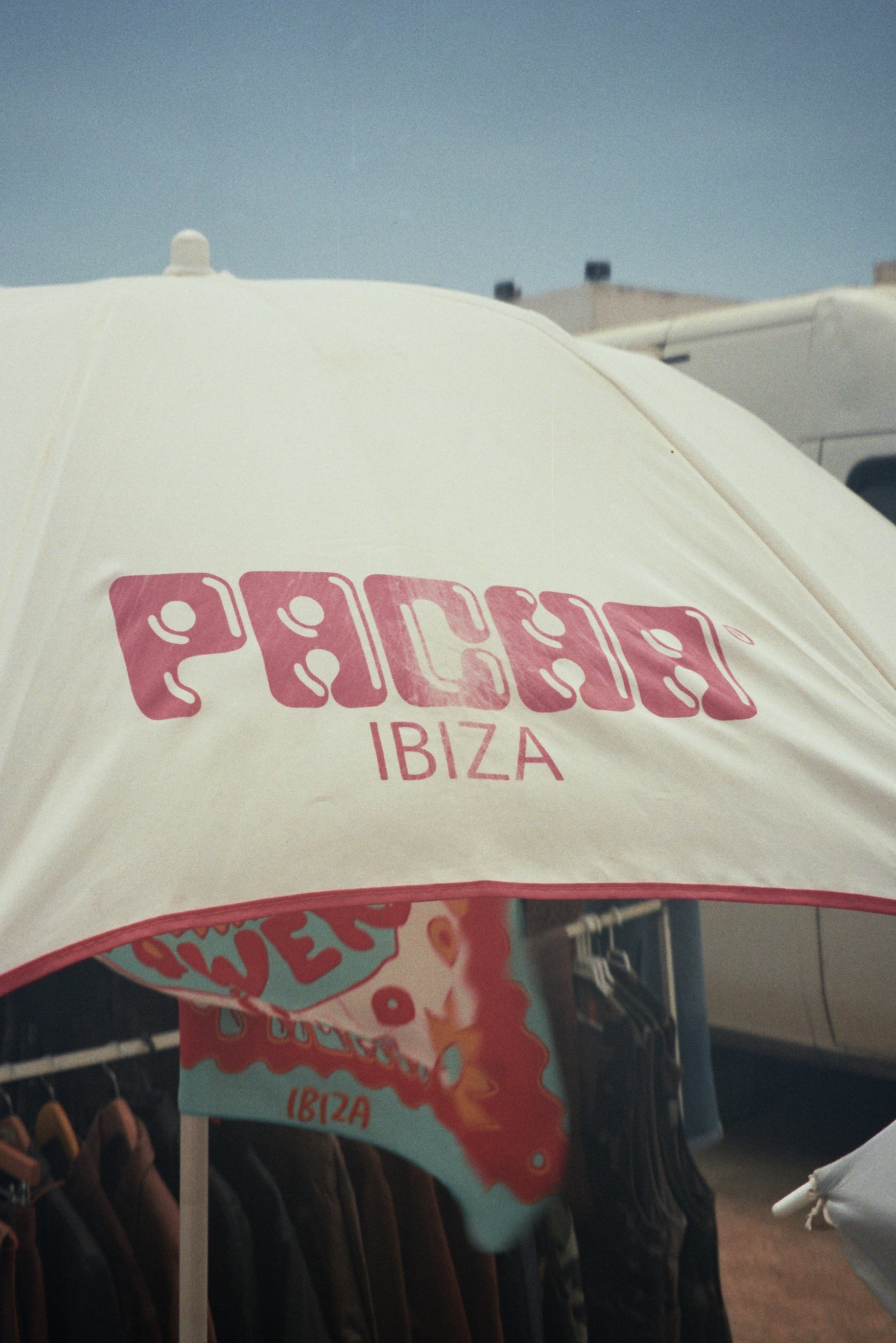 Pacha+2.1+kopie.jpg