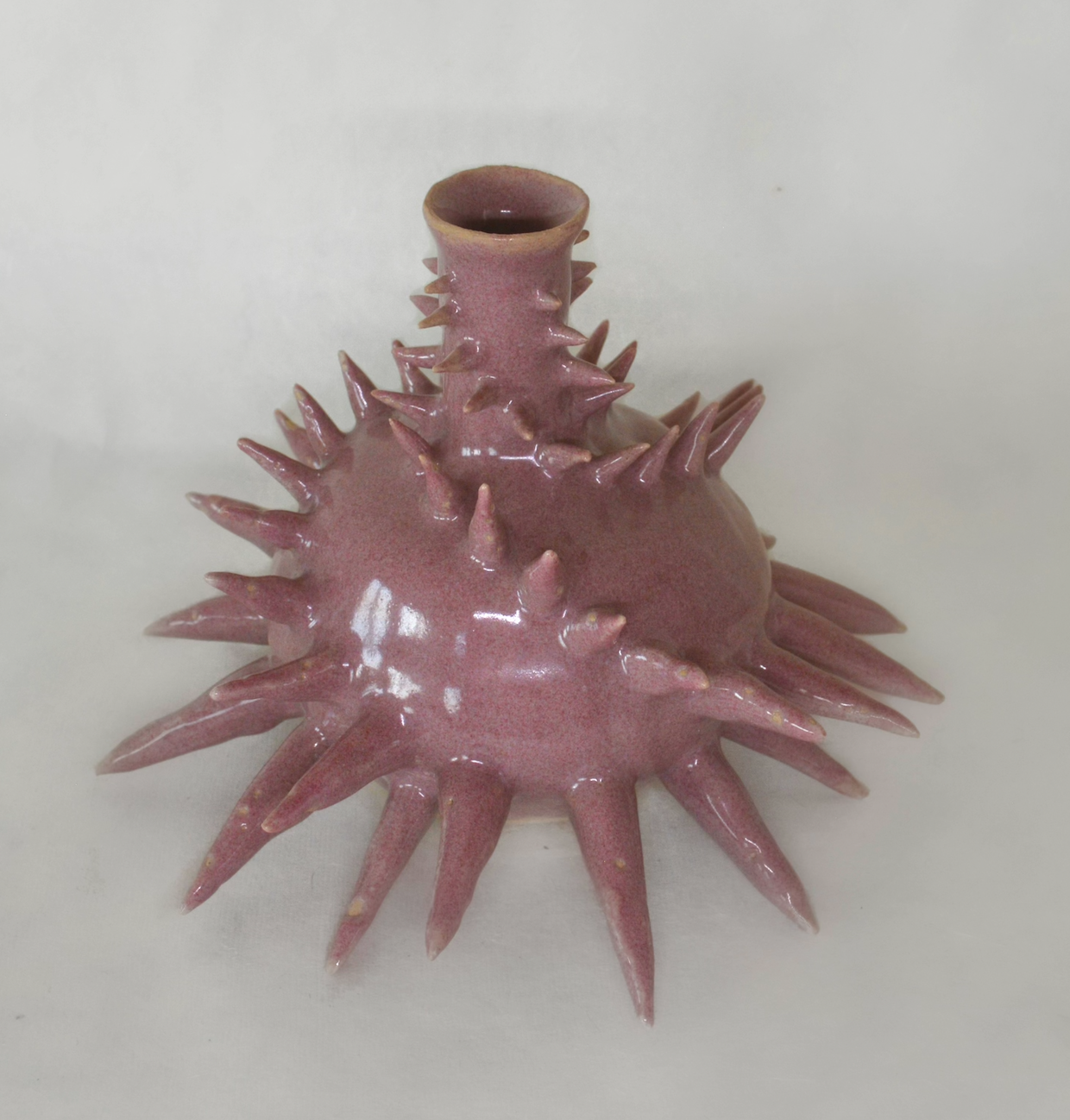 Spiked Vessel 1. | Zoë Irons