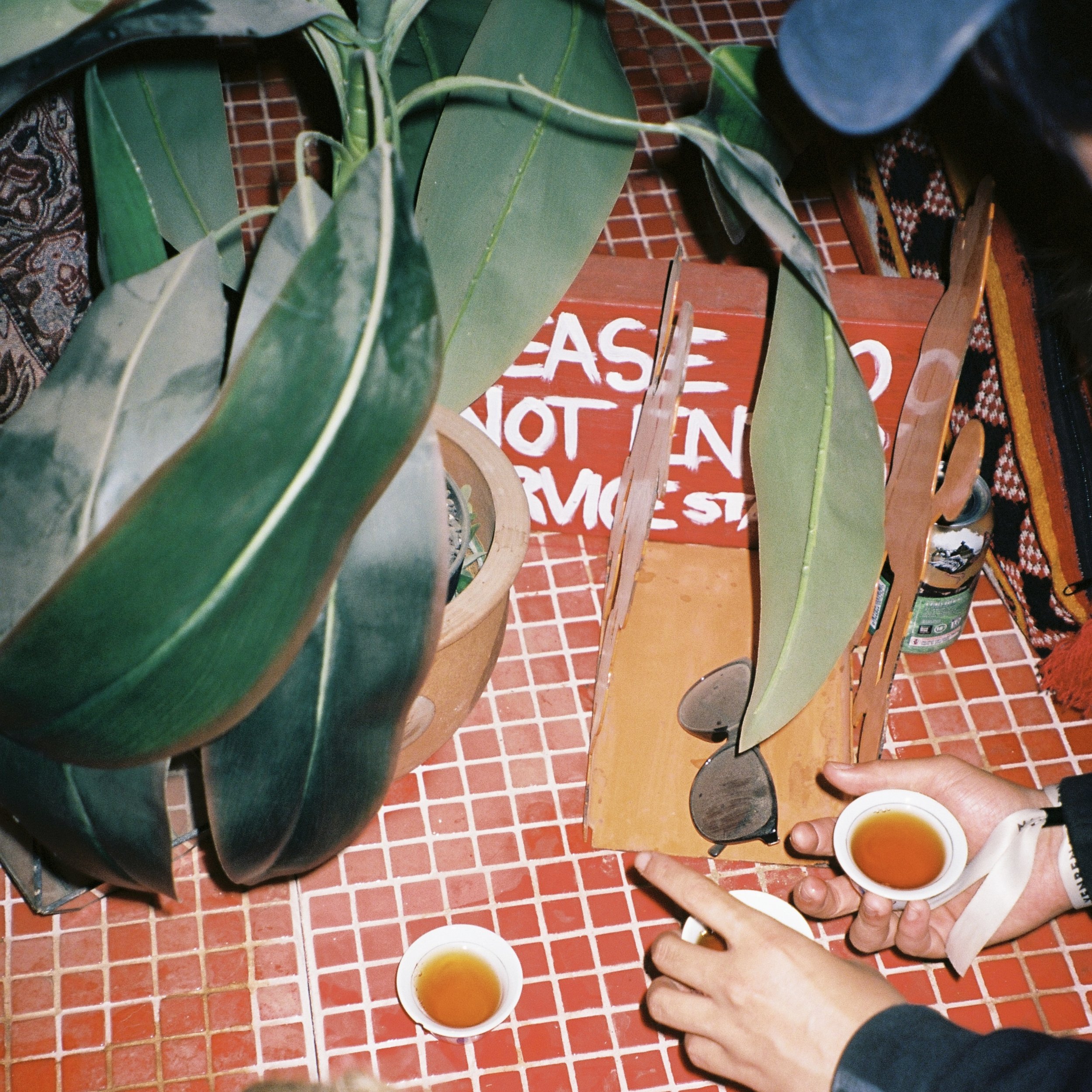 sat_sf23_hires_capturecharles-5 4.jpg