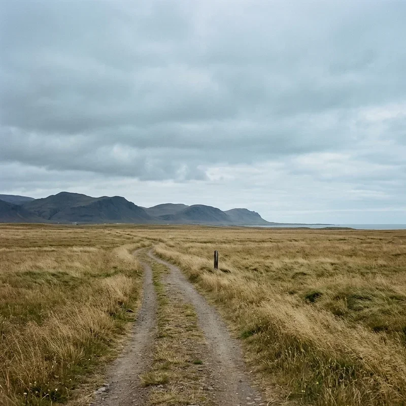 Minimalist Landscape Ideas
