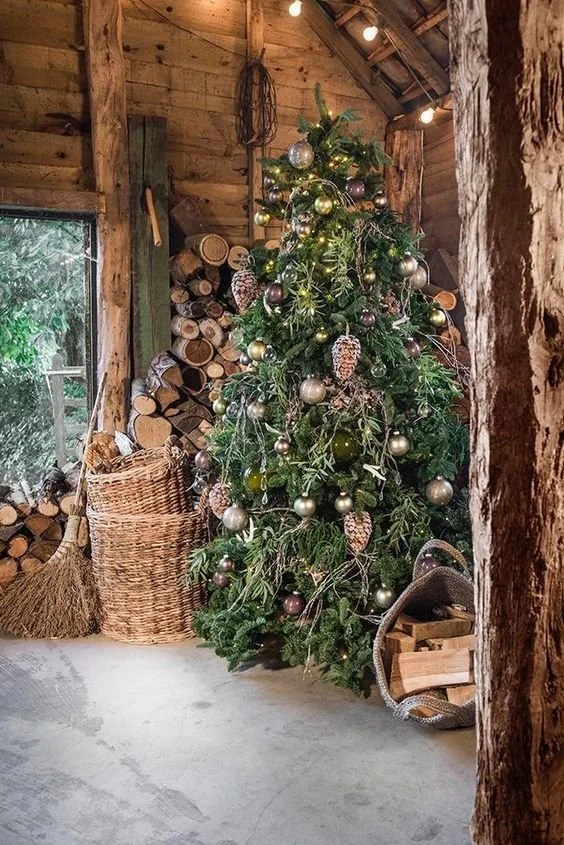 forest tree.jpeg