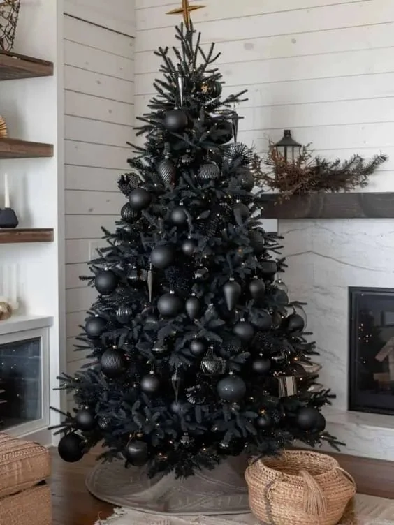 black tree.jpeg