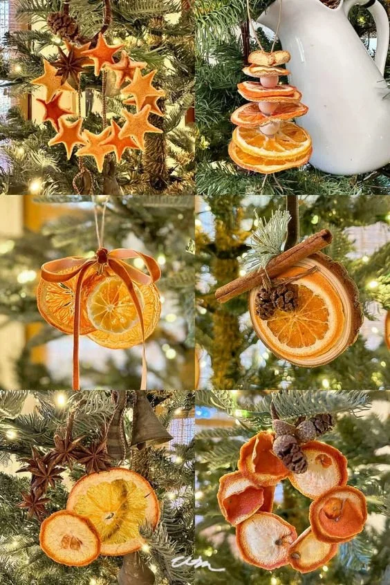orange 2.jpeg