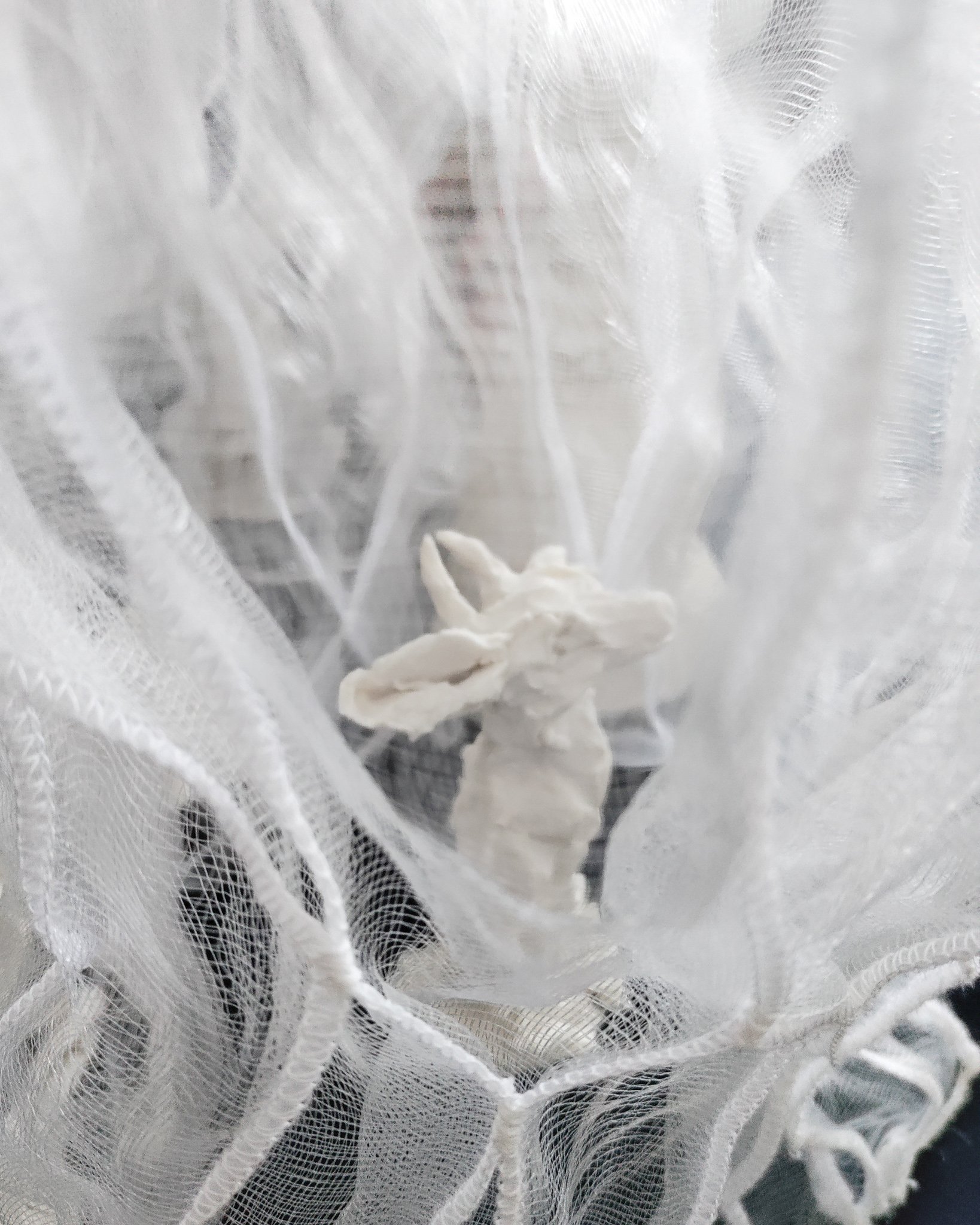 IMG_20240223_122546_Bokeh.jpg