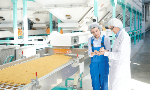 Two workers, one in blue overalls and another in white lab coat and hair net, inspecting products on a conveyor belt in a food manufacturing facility.