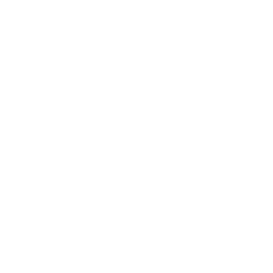 Energy efficiency icon showing speedometer with lightning bolt for power performance