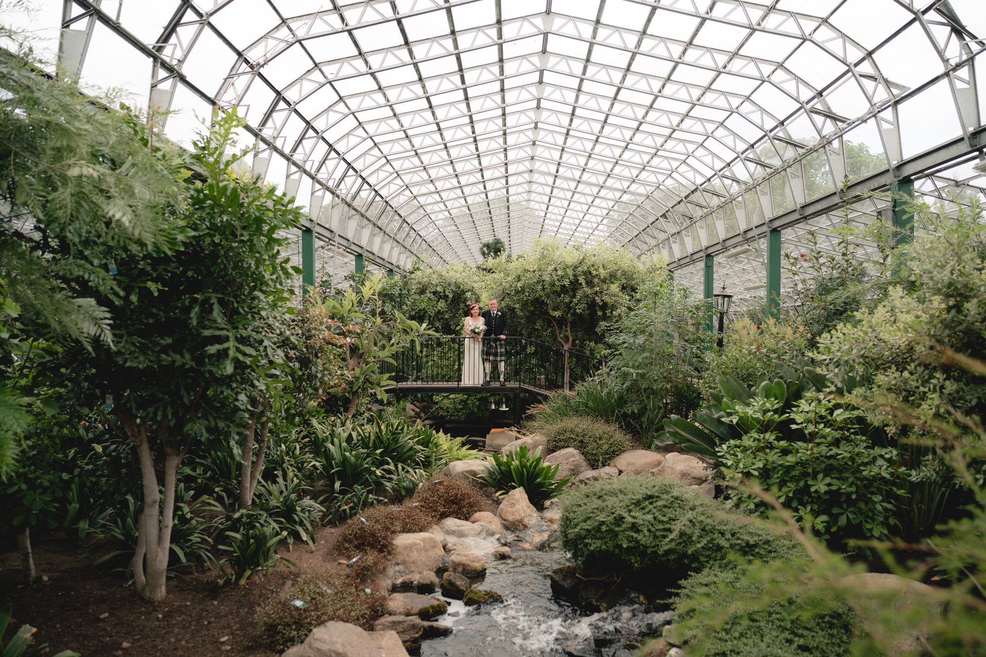 A couple dressed in wedding attire standing on a small bridge inside a large greenhouse filled with lush green plants, trees, and a stream running underneath.