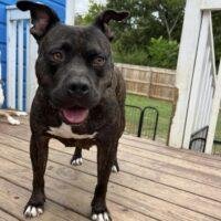 Hazel_profile_pic.jpeg