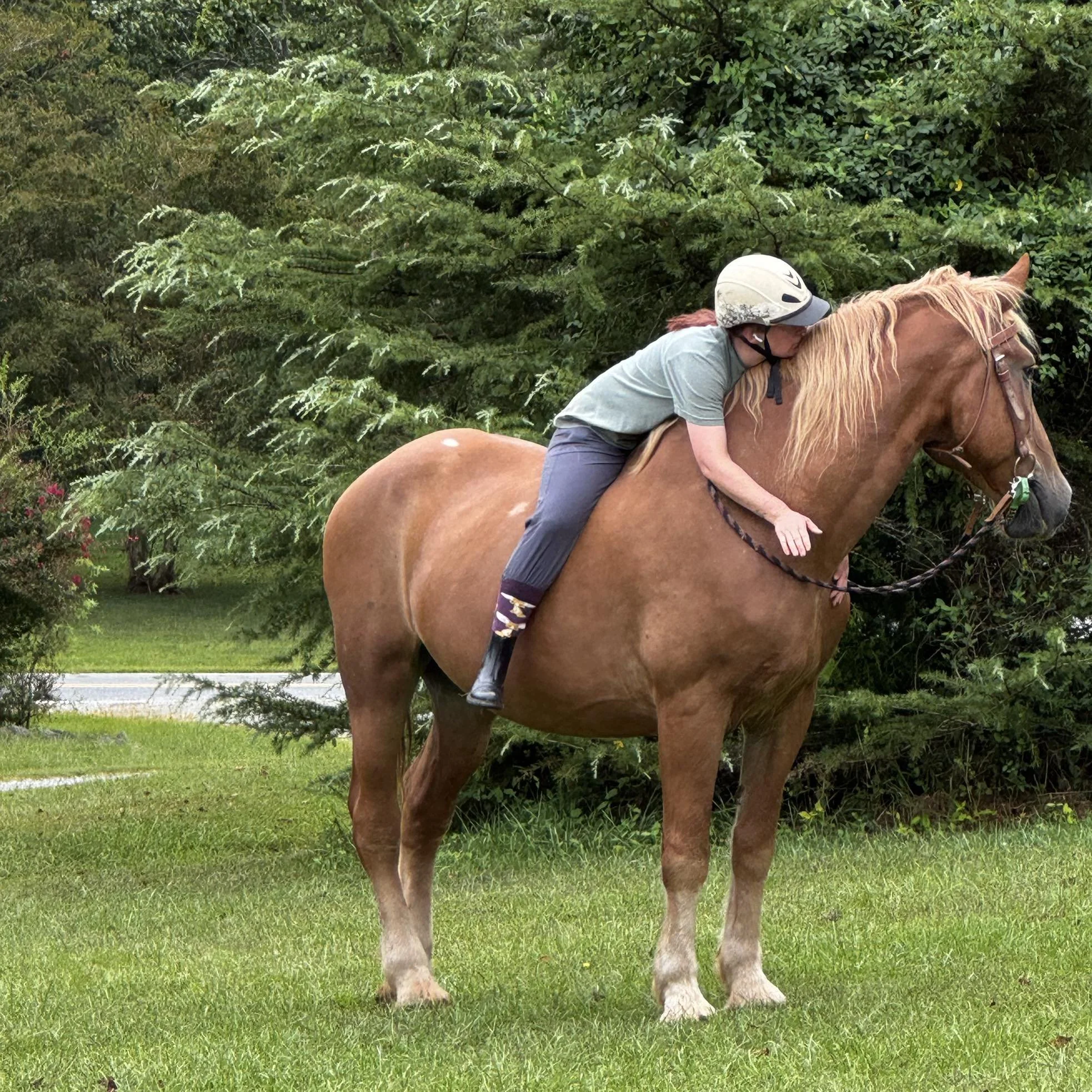 Daphne, our gentle giant.
