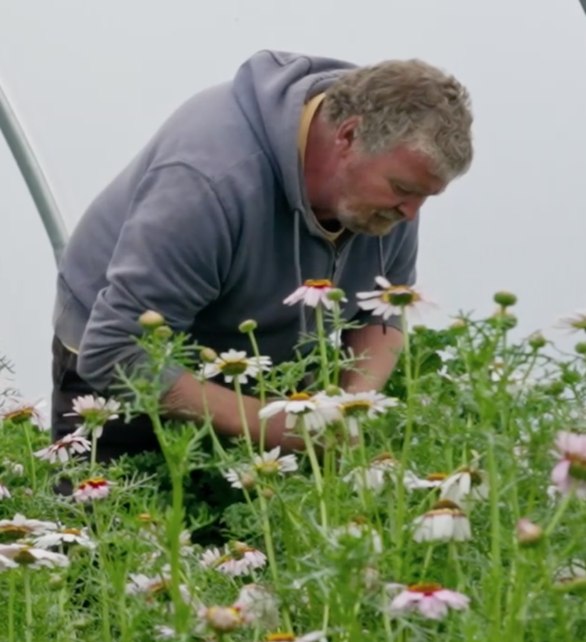 Dave - Bare Acre Farm in Dublin Ireland