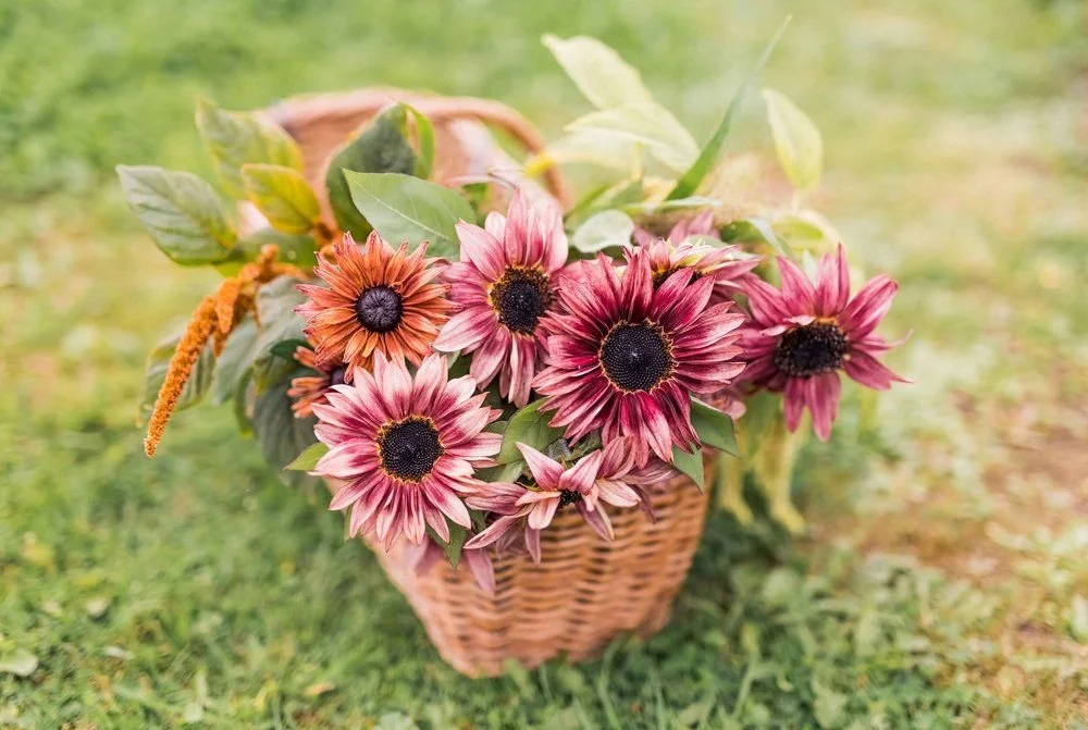 Flower Farming Workshop