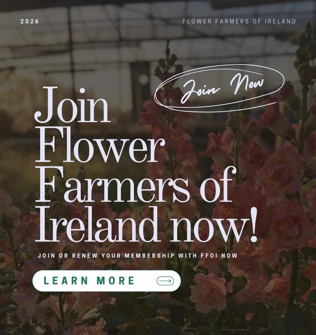 It’s the Perfect Time of Year to Join the Flower Farmers of Ireland