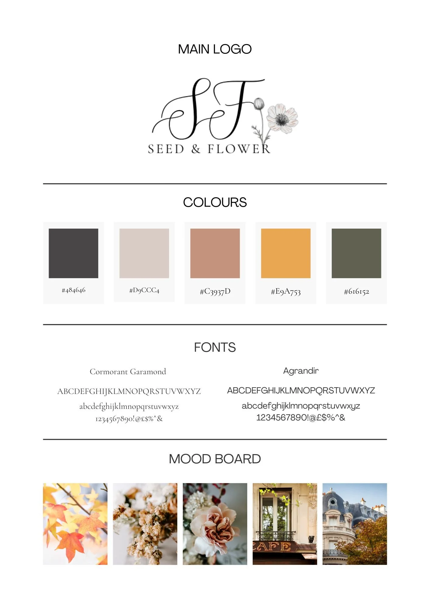 Online Squarespace Website Workshop