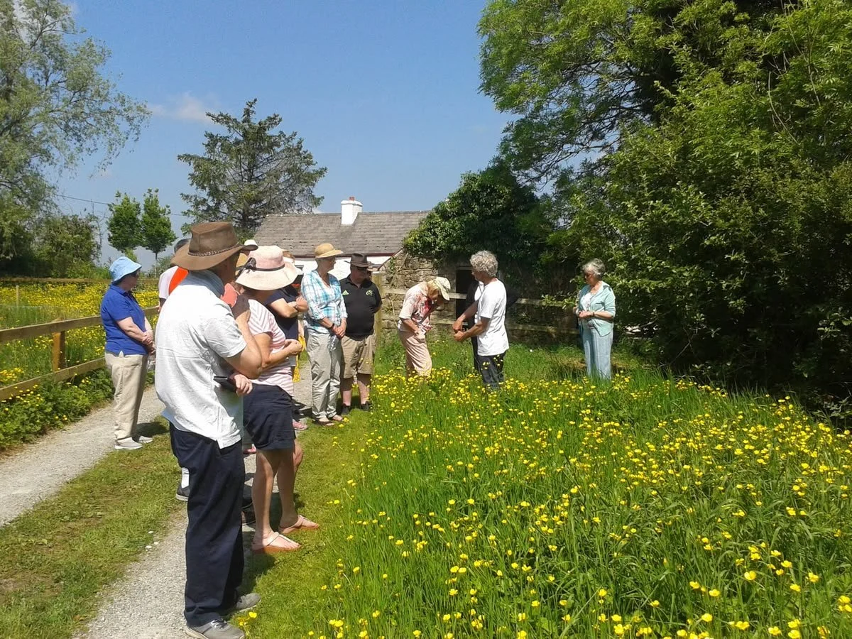 Flower Farming Course 