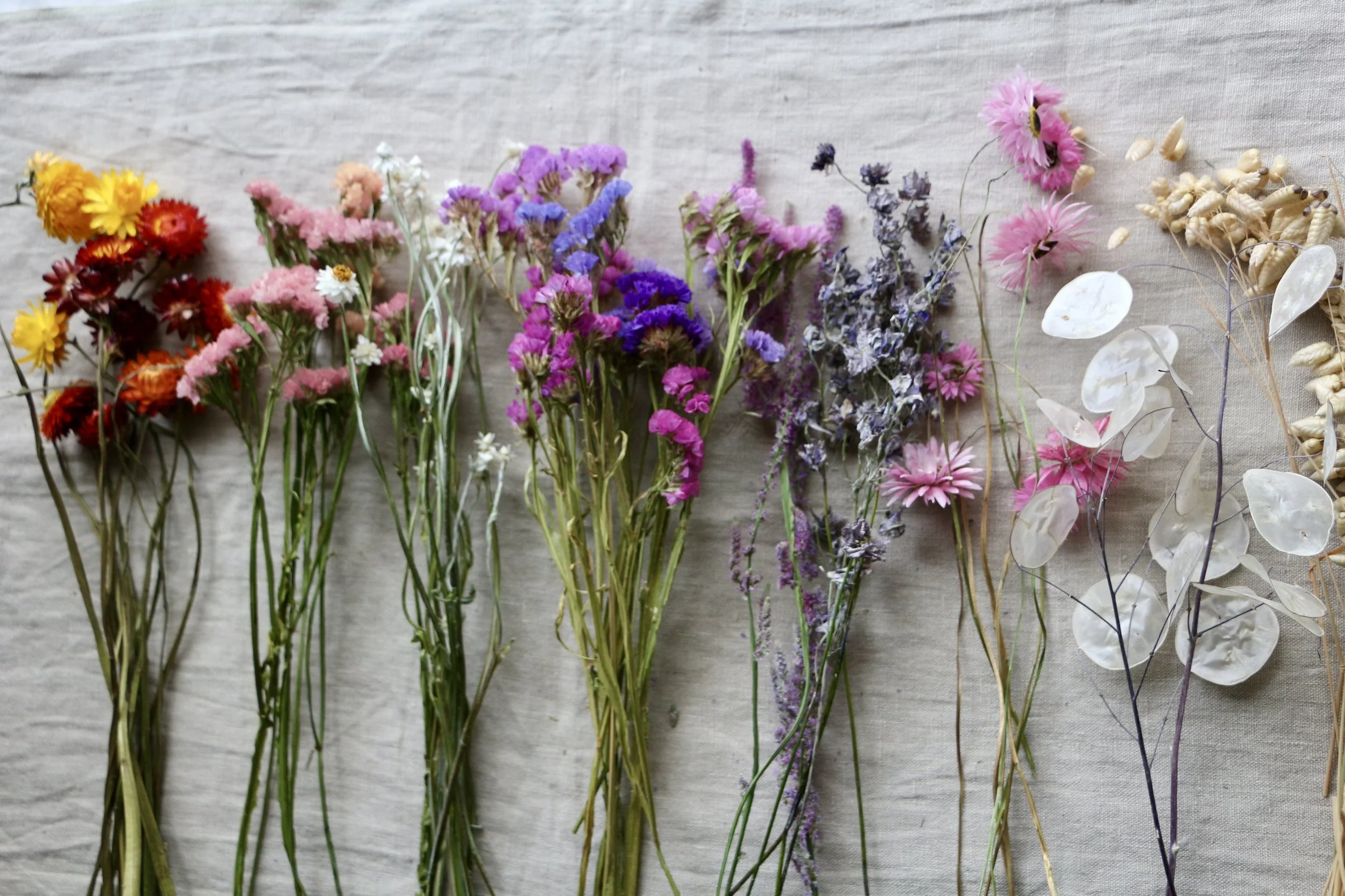 Dried Flower Workshop
